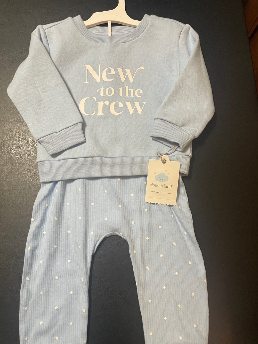 cloud island Light Blue "New to the Crew" Baby Sweatshirt Set Sz. 12 mo NWT